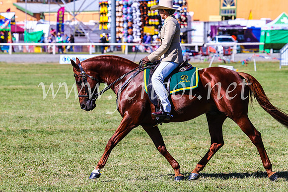 BathurstShow2017Fri_0692