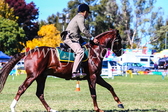 BathurstShow2017Fri_0527