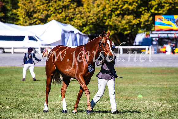 BathurstShow2017Fri_0145