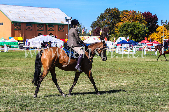 BathurstShow2017Fri_0733