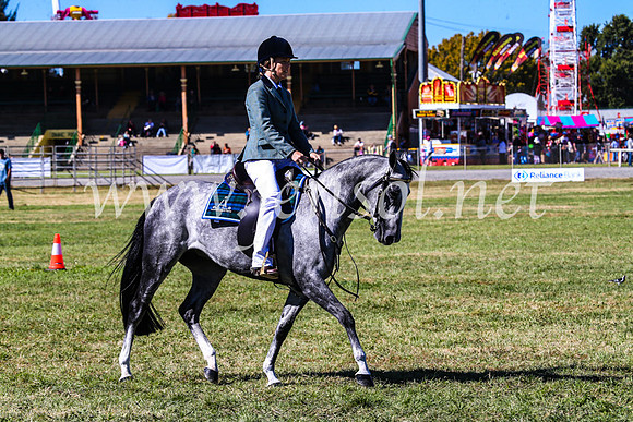 BathurstShow2017Fri_0788