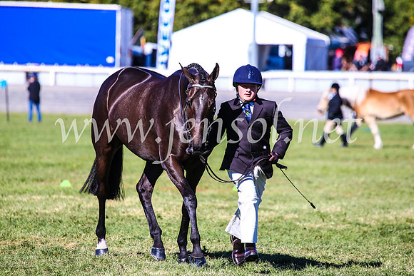 BathurstShow2017Fri_0202
