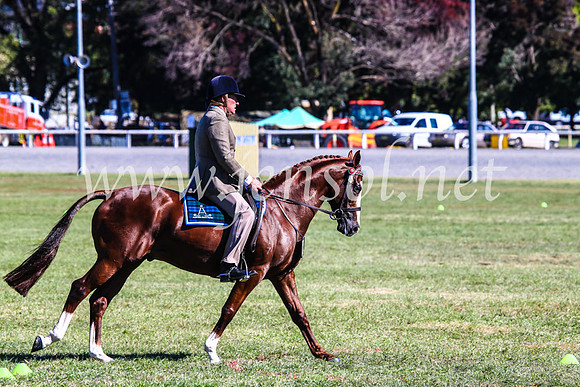 BathurstShow2017Fri_0958