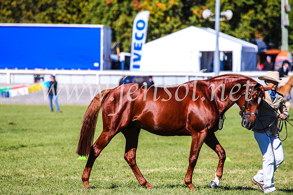 BathurstShow2017Fri_0273