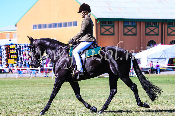 BathurstShow2017Fri_0547