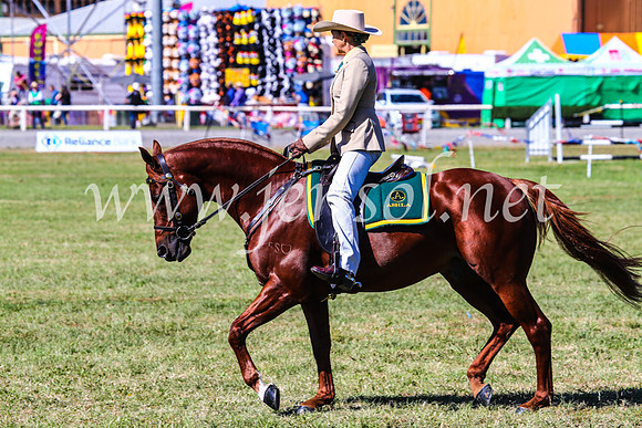 BathurstShow2017Fri_0697