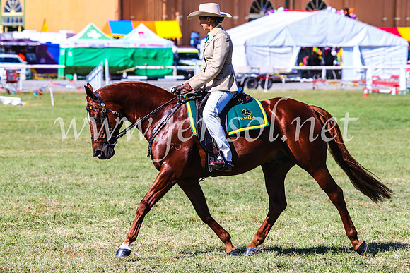 BathurstShow2017Fri_0703