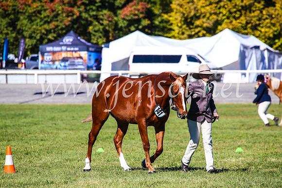 BathurstShow2017Fri_0143