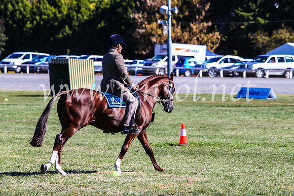 BathurstShow2017Fri_0970