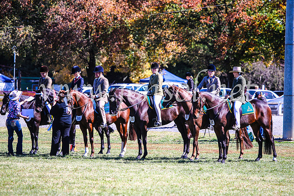 BathurstShow2017Fri_1025