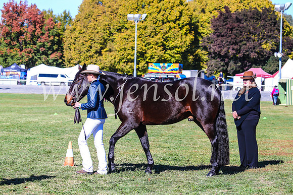 BathurstShow2017Fri_0166