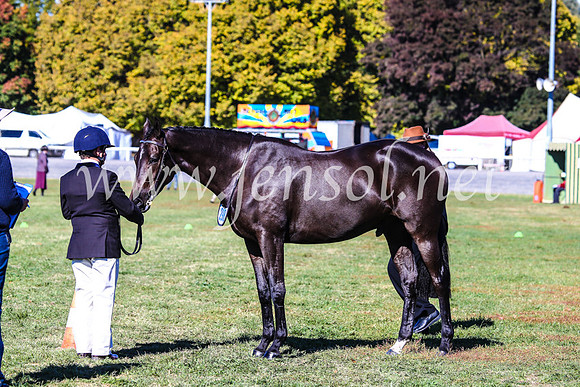 BathurstShow2017Fri_0193