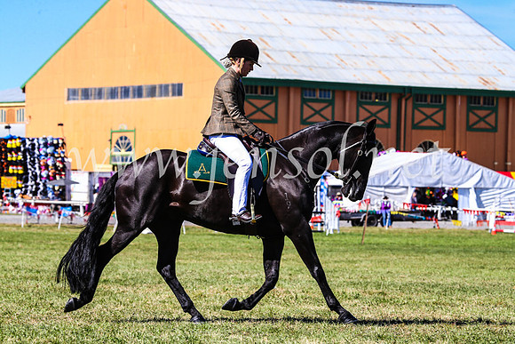 BathurstShow2017Fri_0555