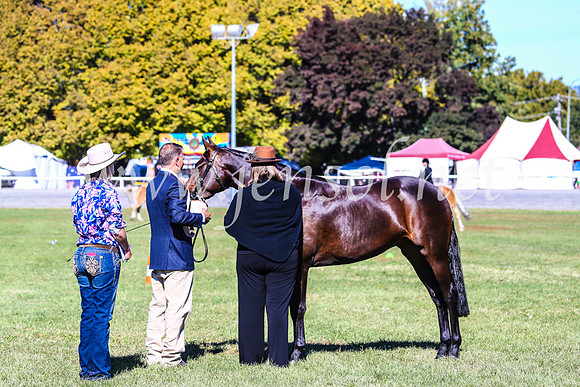 BathurstShow2017Fri_0323