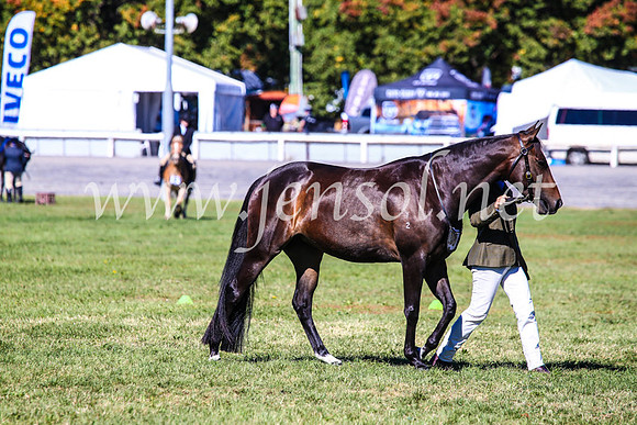 BathurstShow2017Fri_0268