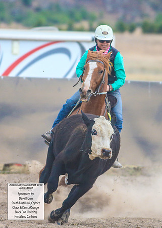 AdaminabyCampdraft2019_6072