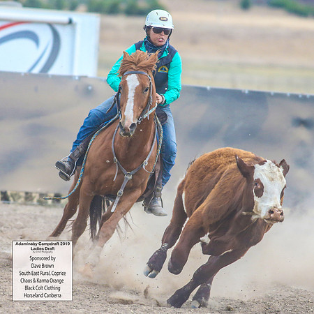 AdaminabyCampdraft2019_6119