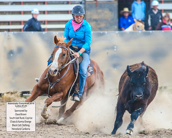 AdaminabyCampdraft2019_6166