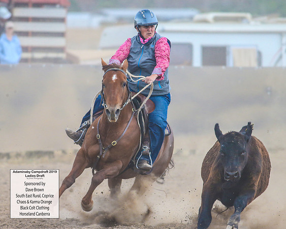 AdaminabyCampdraft2019_6110