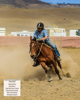 AdaminabyCampdraft2019_1303