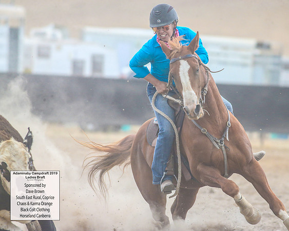 AdaminabyCampdraft2019_6139