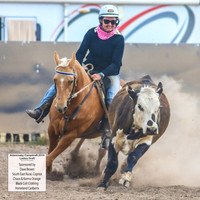 AdaminabyCampdraft2019_6050