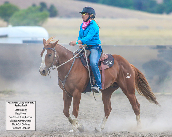 AdaminabyCampdraft2019_6174