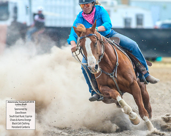AdaminabyCampdraft2019_6167