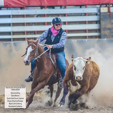 AdaminabyCampdraft2019_6089