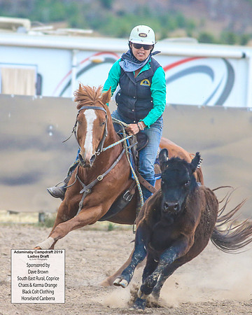 AdaminabyCampdraft2019_6144