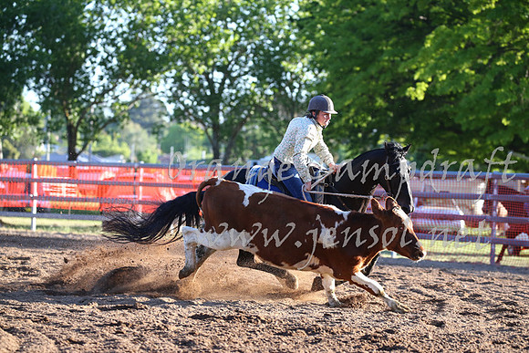 OrangeCampdraft_0536