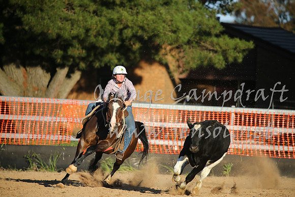 OrangeCampdraft_0602