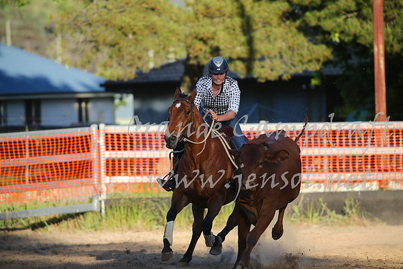 OrangeCampdraft_0617