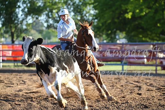OrangeCampdraft_0523