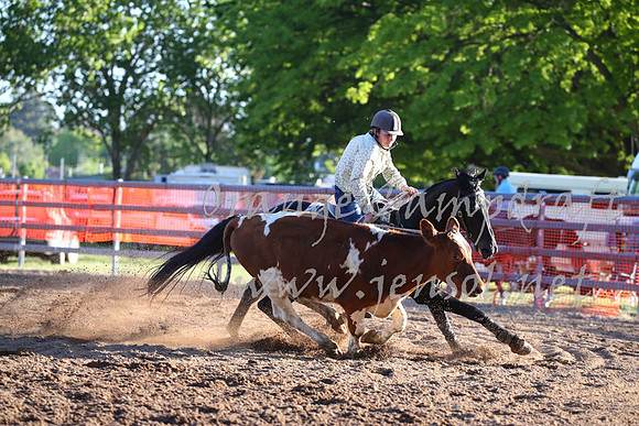 OrangeCampdraft_0530