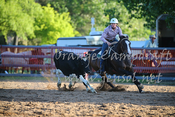 OrangeCampdraft_0605