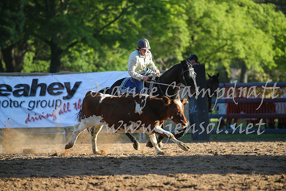 OrangeCampdraft_0571