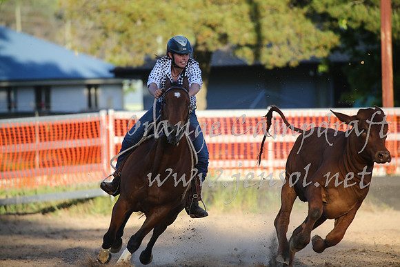 OrangeCampdraft_0621