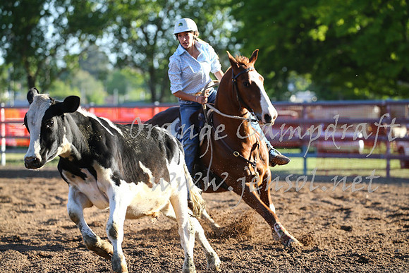 OrangeCampdraft_0522