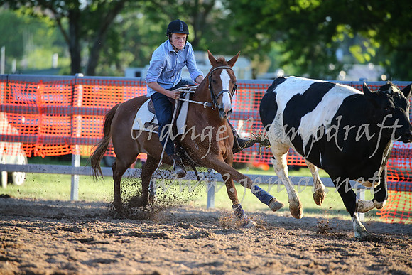 OrangeCampdraft_0616