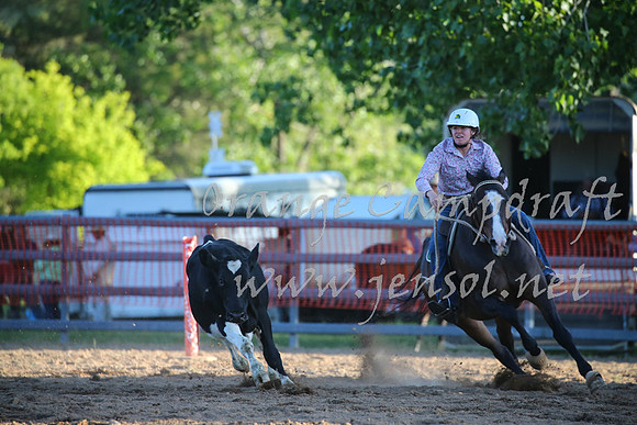 OrangeCampdraft_0608