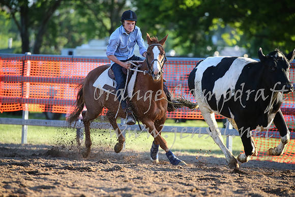 OrangeCampdraft_0615