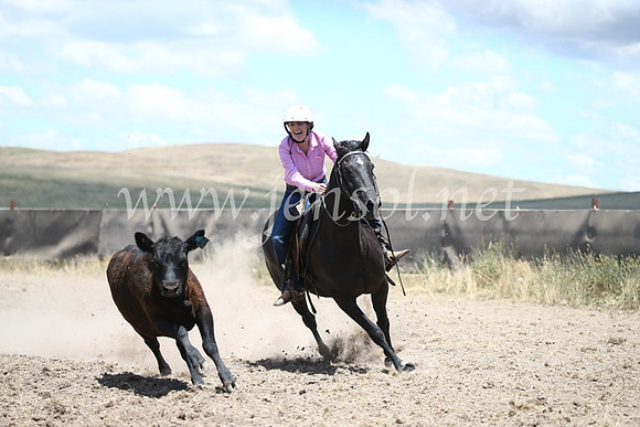 AdaminabyCampdraft2016_8373