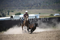 AdaminabyCampdraft2016_8227