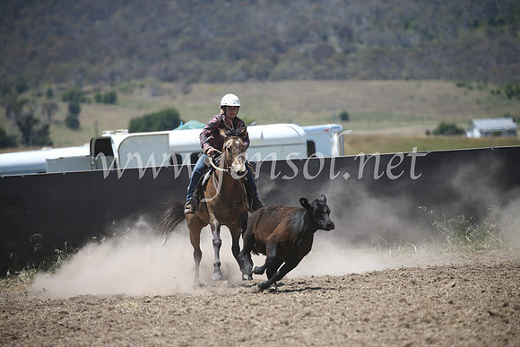 AdaminabyCampdraft2016_8227