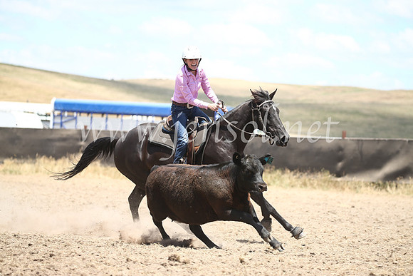 AdaminabyCampdraft2016_8356