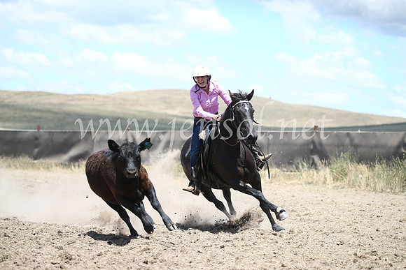AdaminabyCampdraft2016_8359