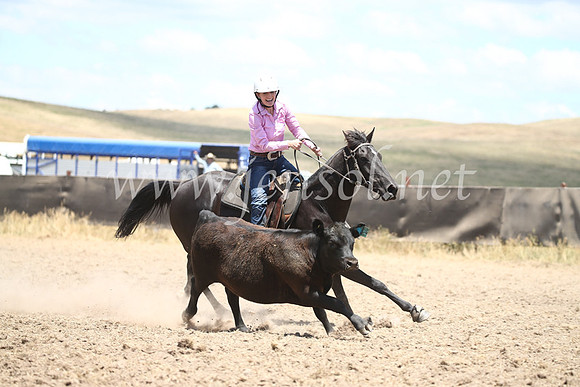 AdaminabyCampdraft2016_8357