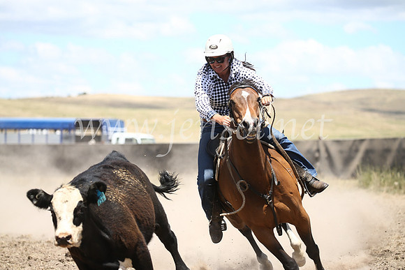 AdaminabyCampdraft2016_8325
