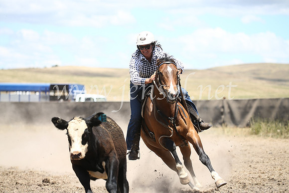 AdaminabyCampdraft2016_8321